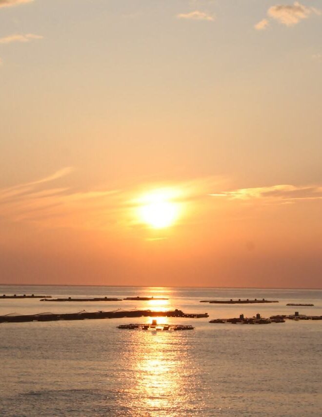 宇和島市_九島