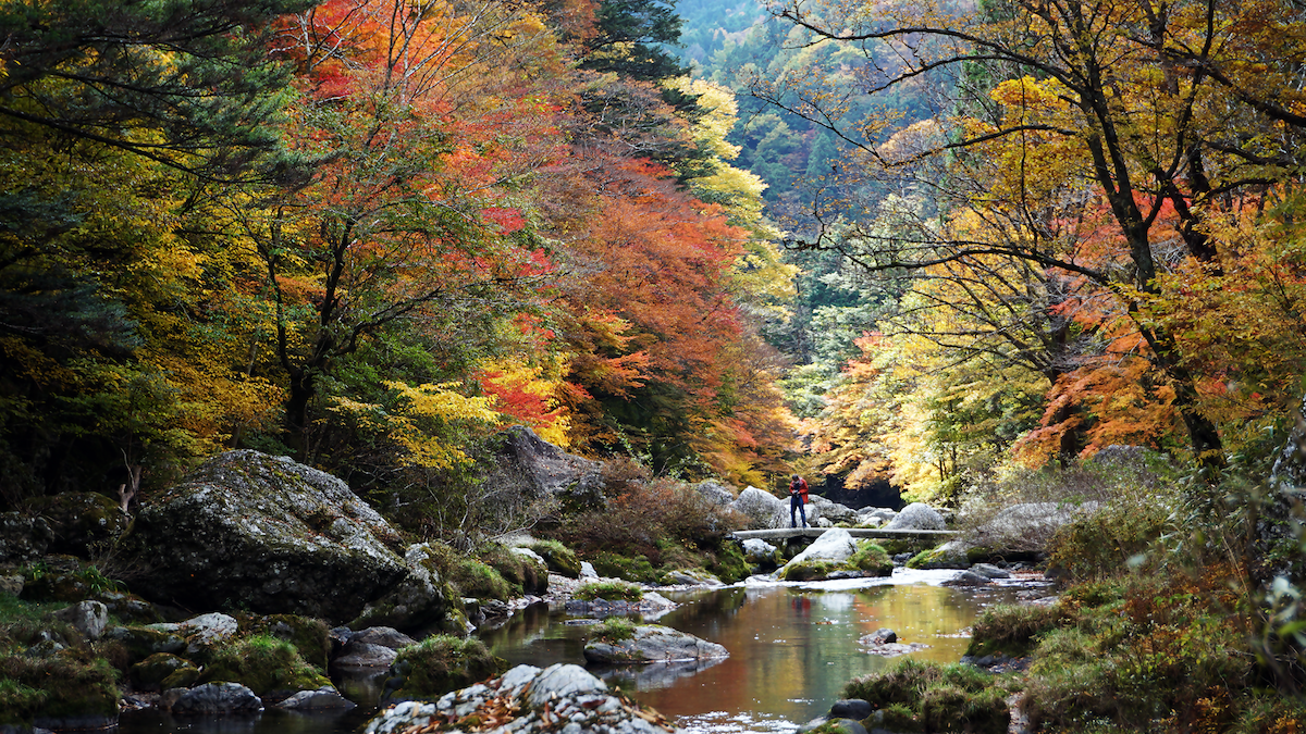 内子町_小田深山渓谷